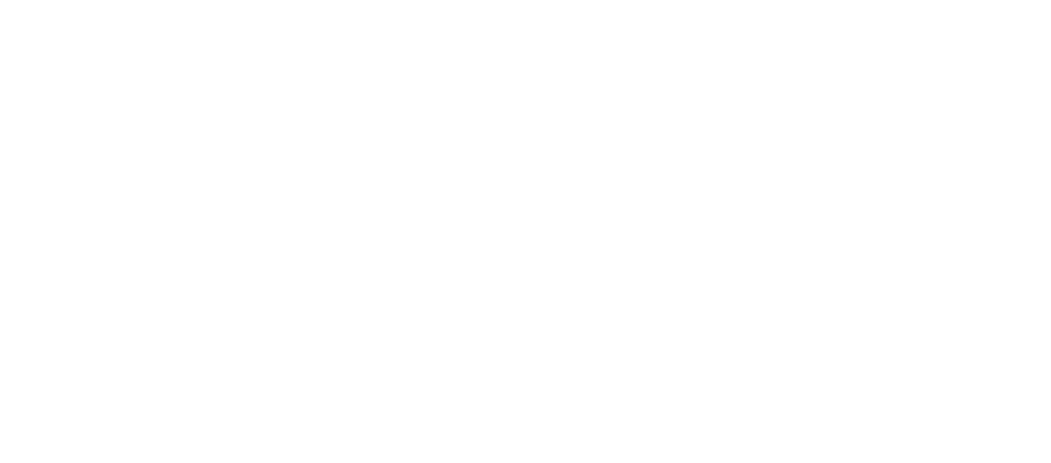 WE ECHO